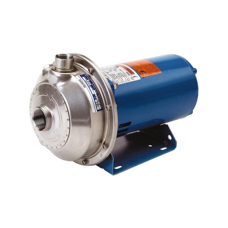 Goulds Pumps 100MS1C4E0