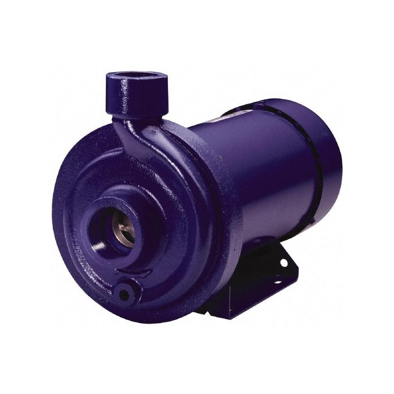 Goulds Pumps 100MC1F1B0