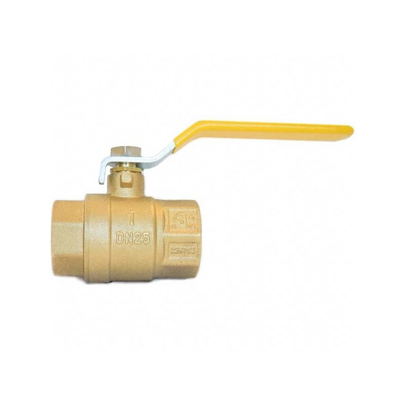 Control Devices BVP10P10-0AA